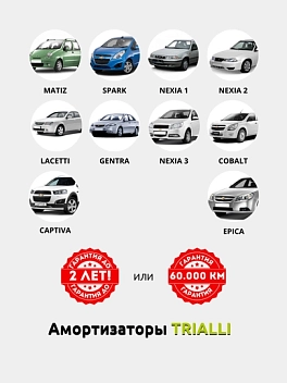 Amortizator (tayanch) Chevrolet Captiva old chap (AG 05164)